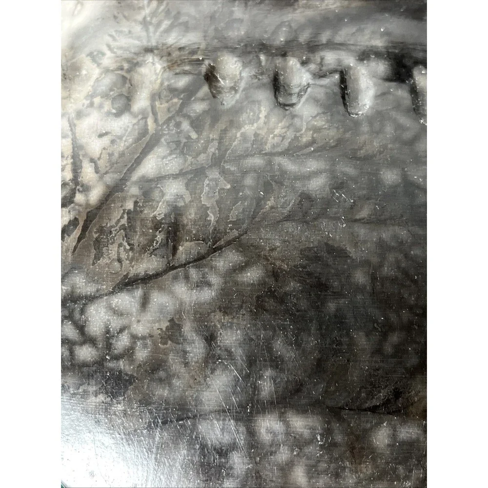 Native American Handmade Plaster Horse Hair Botanical Pressed Plants‎ Vessel